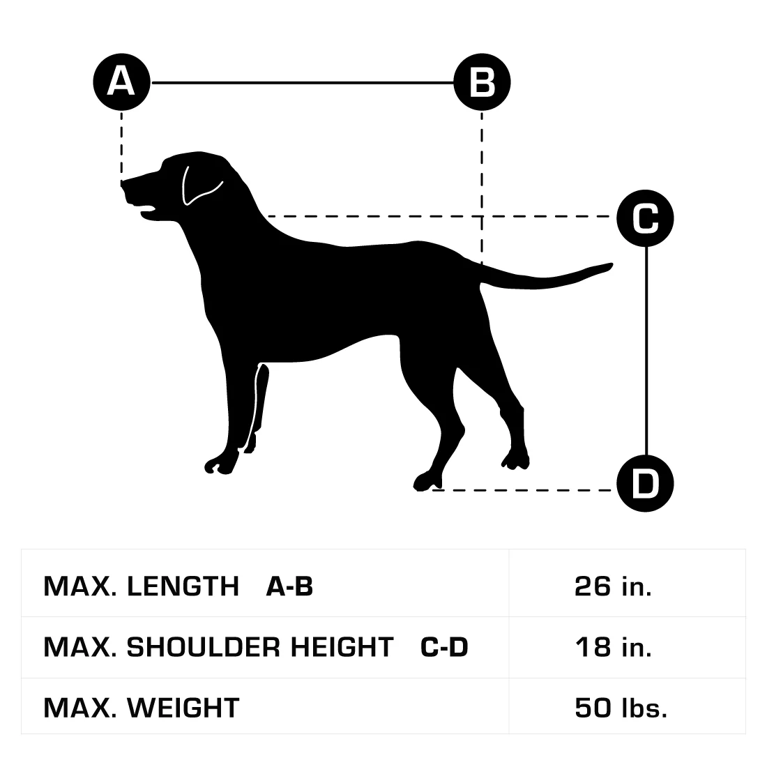 Lectric Pet Trailer - Image 4